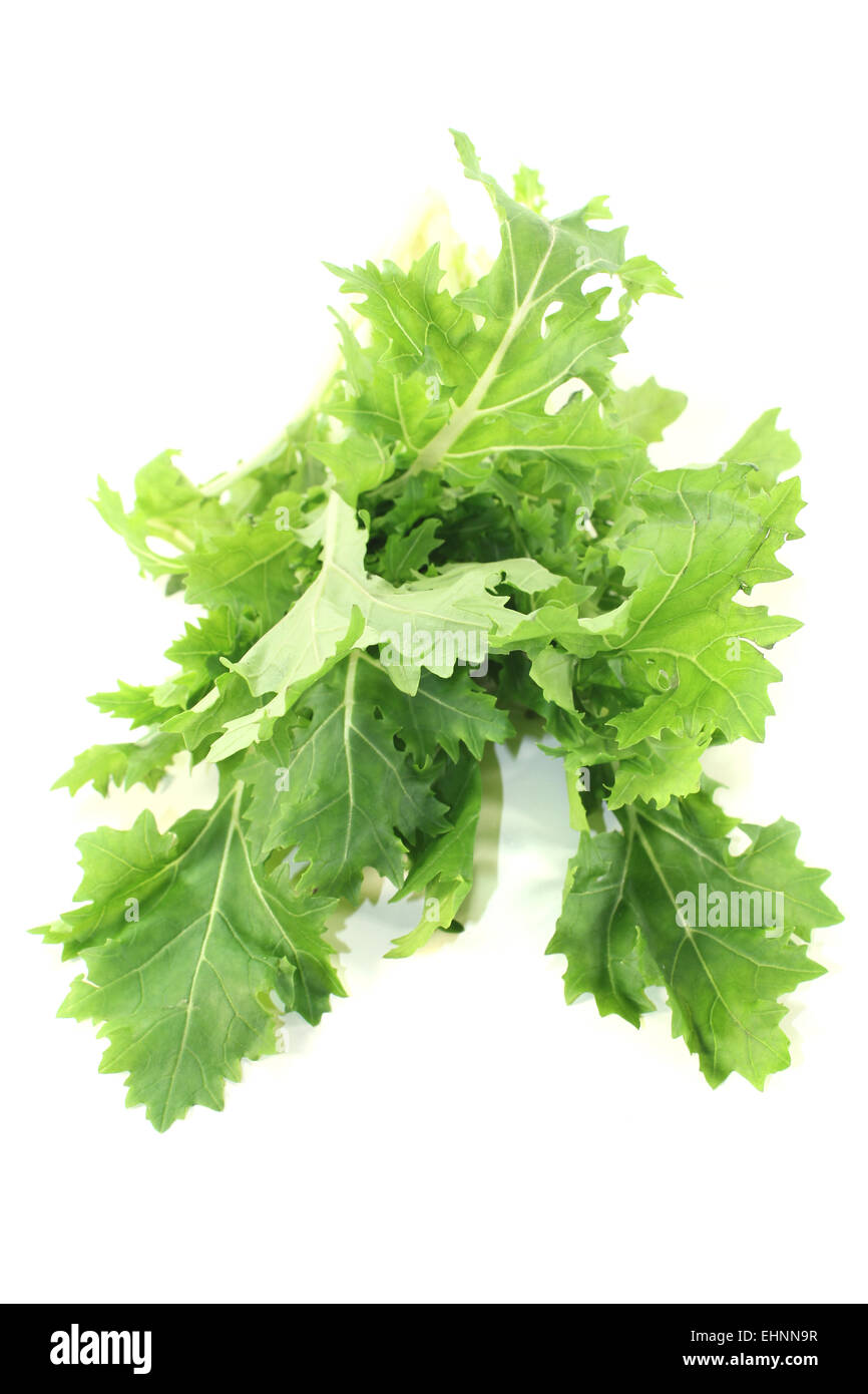 Turnip garden beet hires stock photography and images Alamy