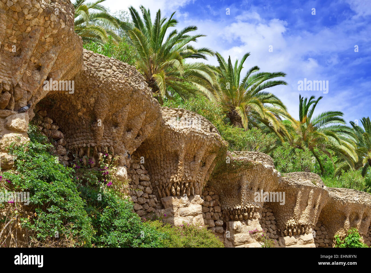 Tropical plants in garden Stock Photo - Alamy