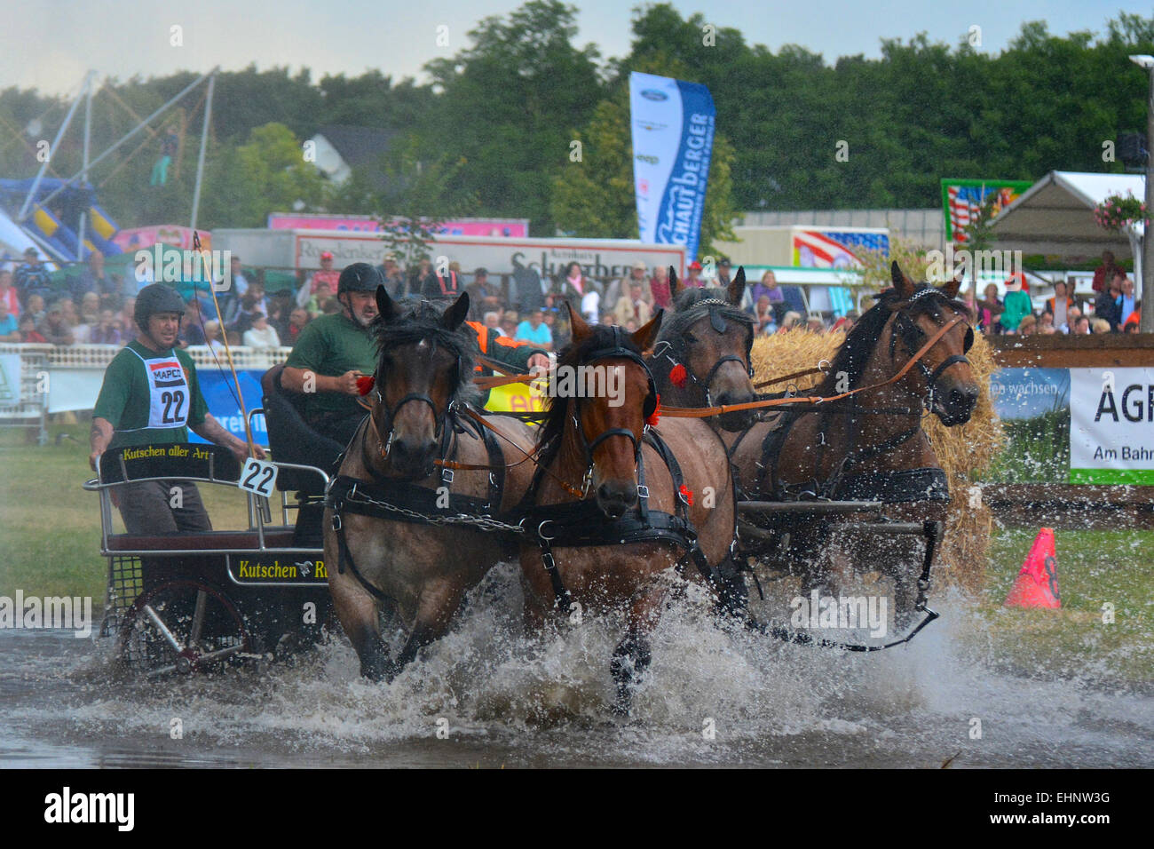 Draft Horse Racing in Germany Stock Photo