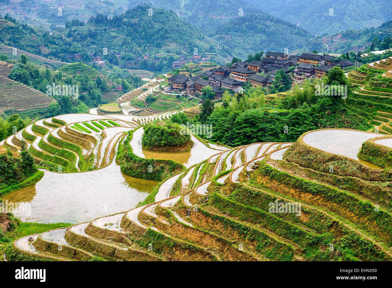 Yaoshan Mountain, Guilin, China hillside rice terraces landscape. Stock Photo