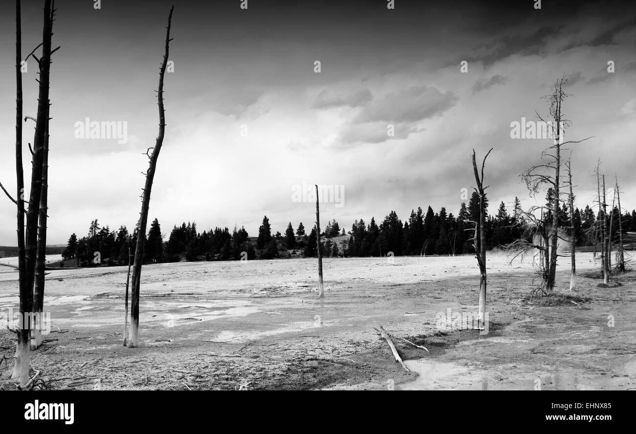 USA - Yellowstone Stock Photo