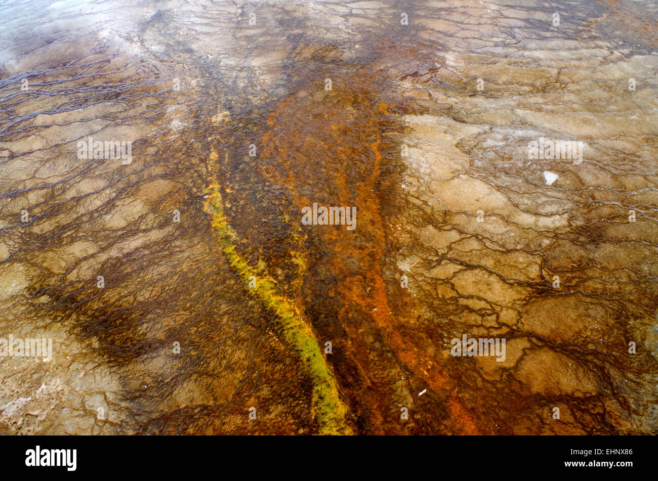 USA - Yellowstone Stock Photo