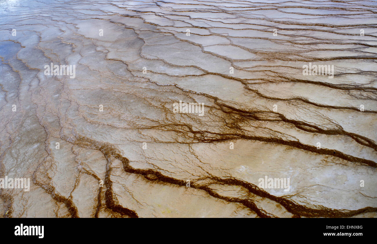 USA - Yellowstone Stock Photo - Alamy