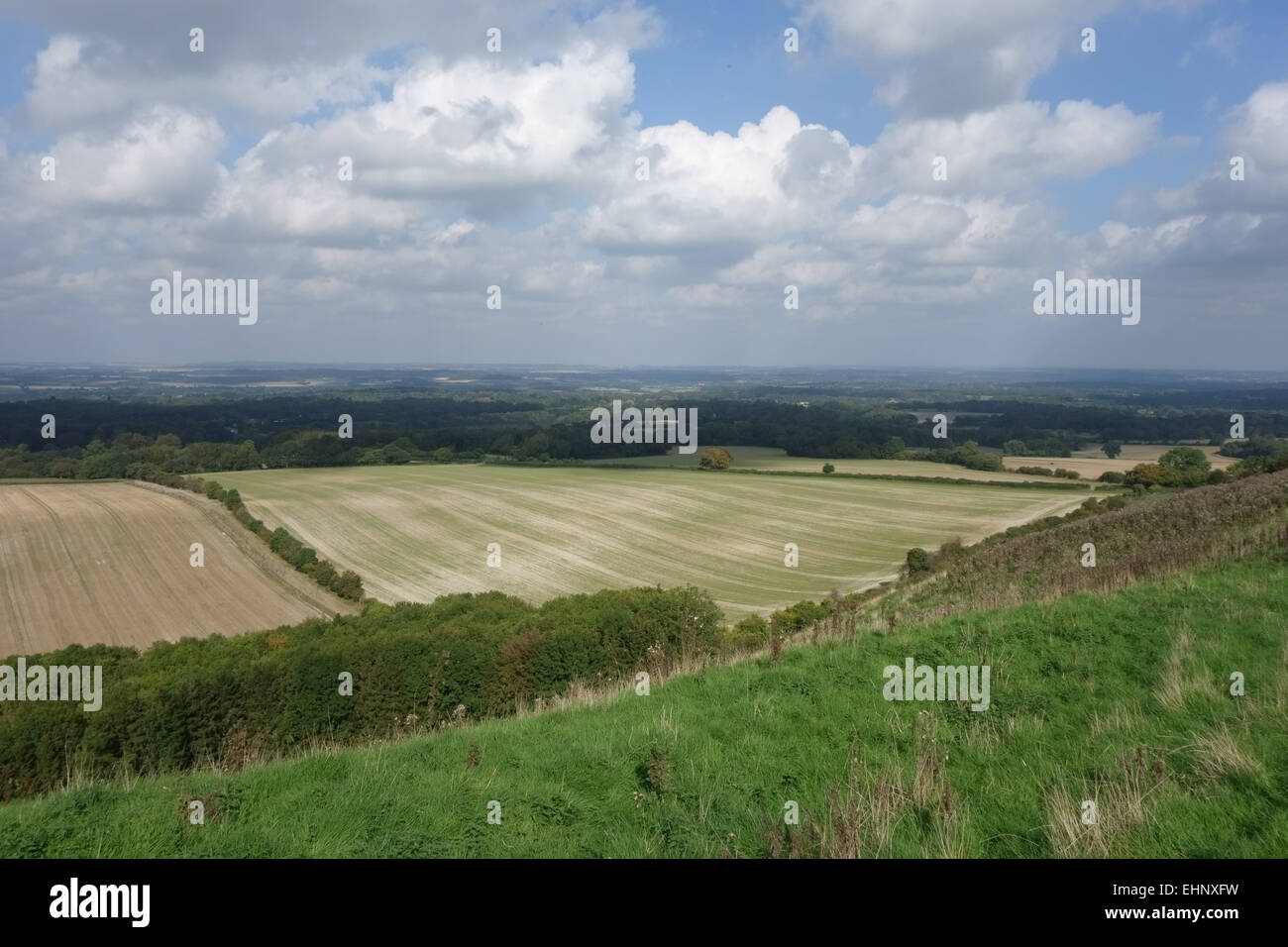 Cereal farmland with a stubble field and a young cereal crop emerging on a  bright autumn day in West Berkshire, September Stock Photo