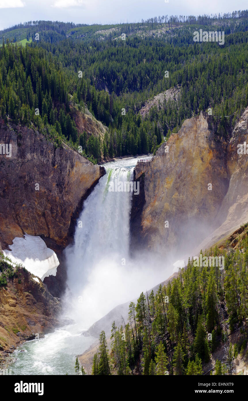 USA - Grand kanyon of the Yellowstone Stock Photo