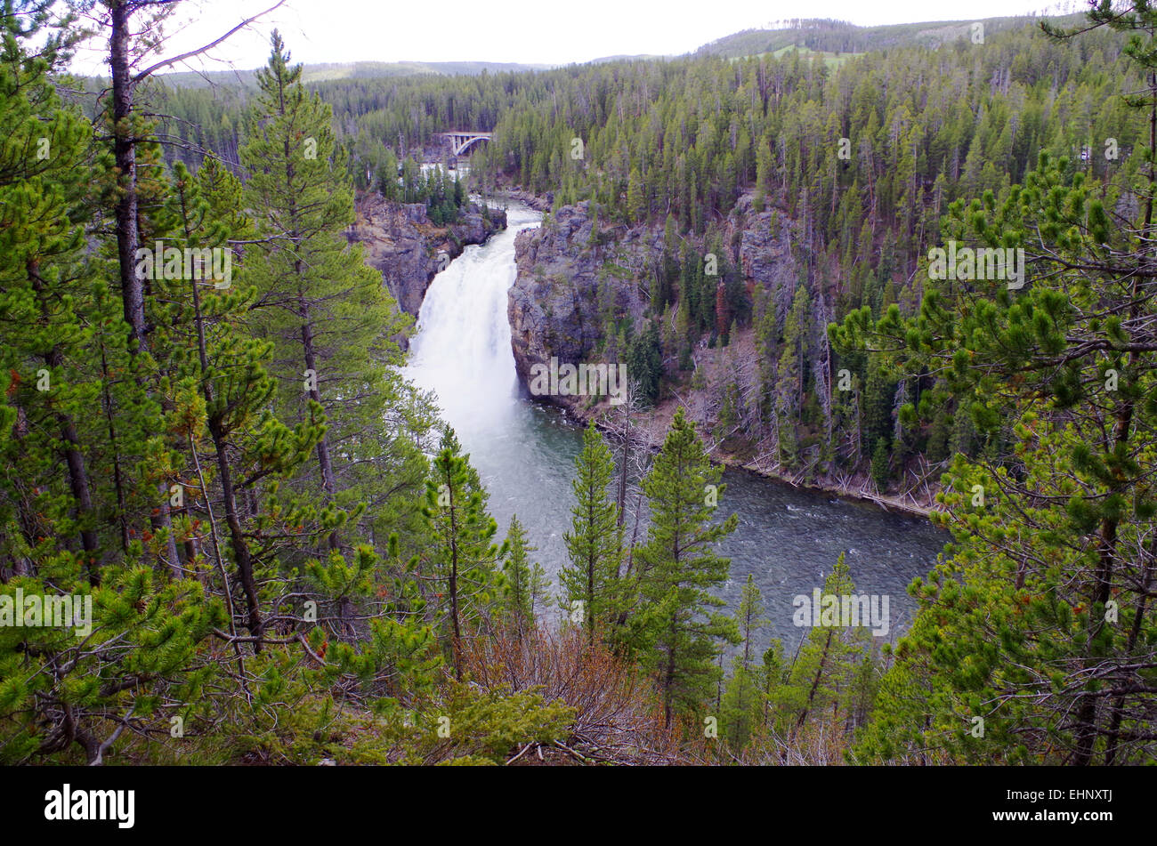 USA - Grand kanyon of the Yellowstone Stock Photo