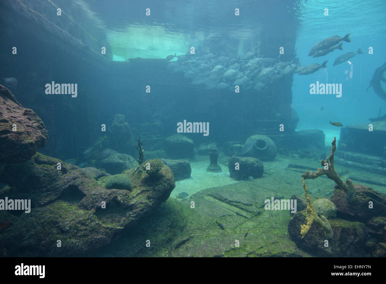 Underwater panorama Stock Photo