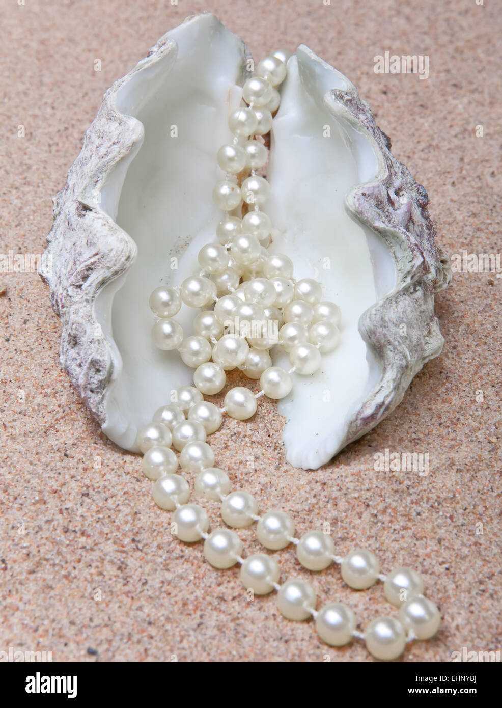 Pearl Shell Large Pearl shell hi-res stock photography and images - Alamy