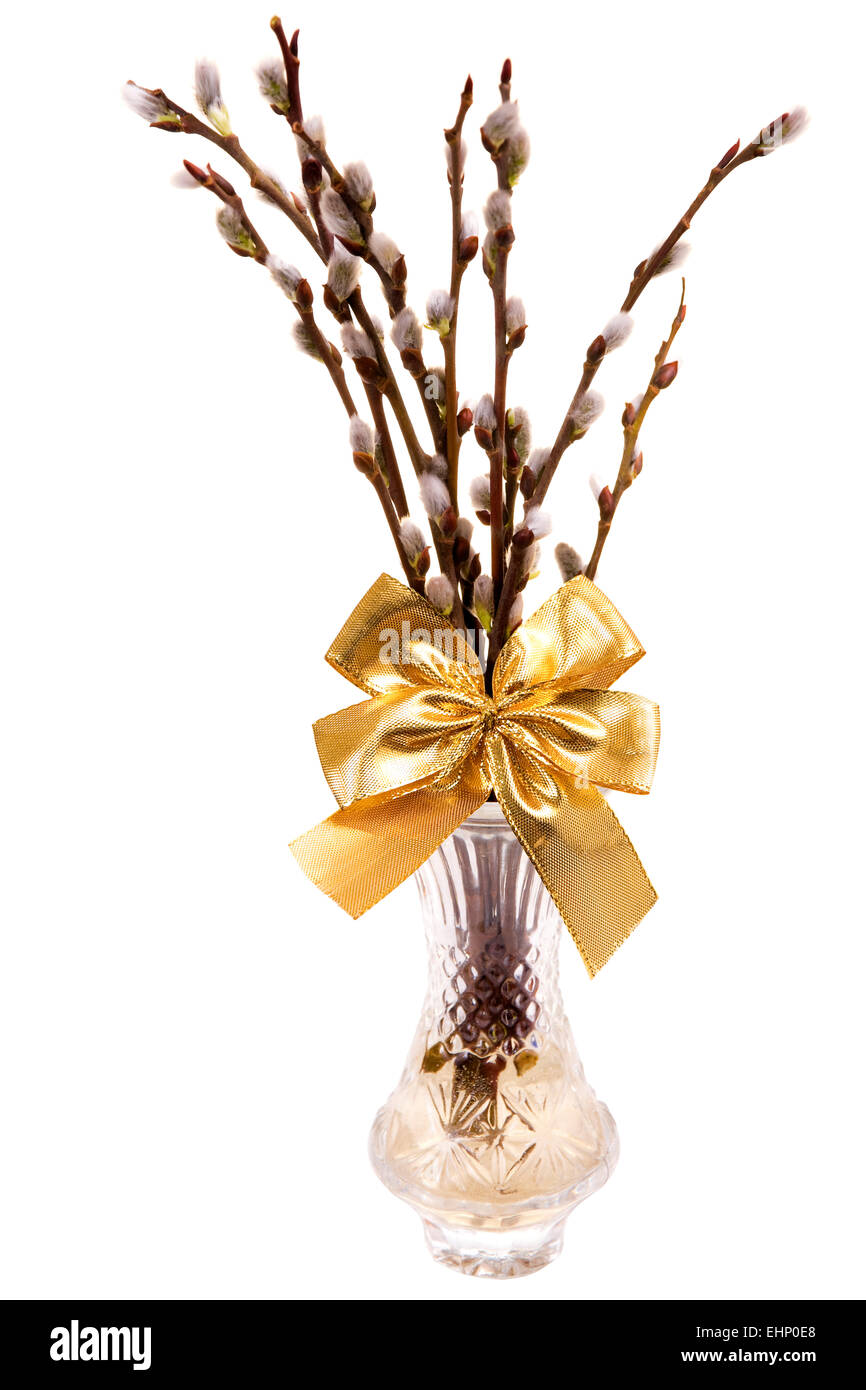 Easter catkins with golden ribbon in vase isolated on white background Stock Photo