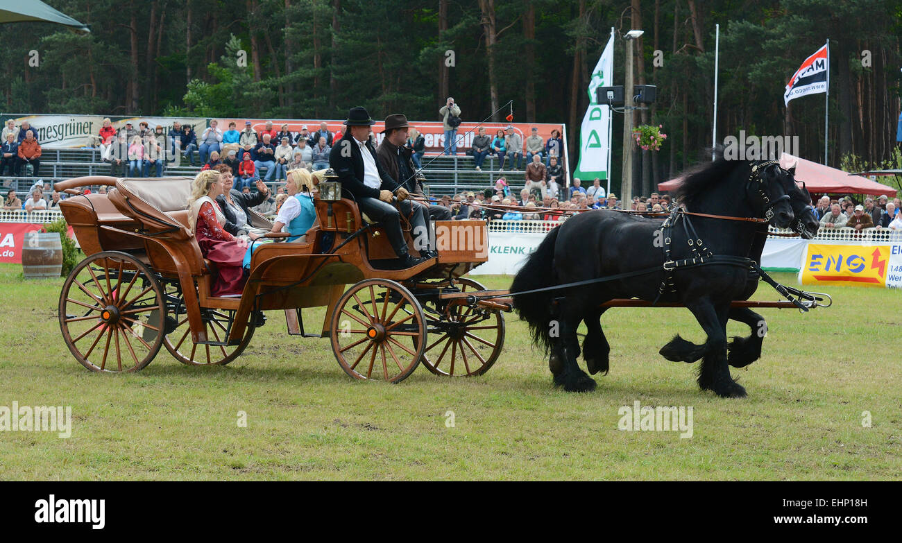 Europeans biggest draft horse show Stock Photo