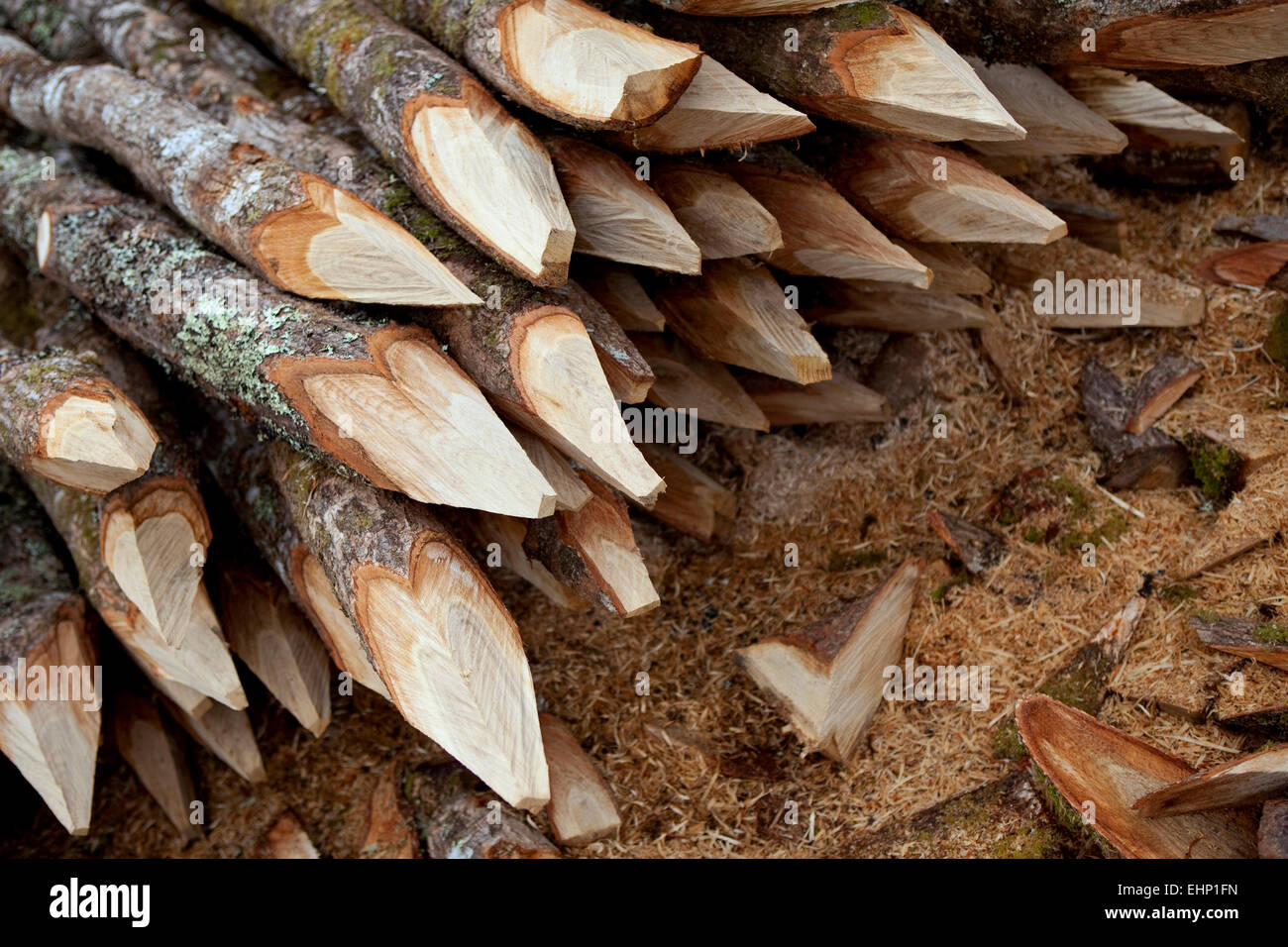 close-up-of-carved-wooden-stakes-in-the-