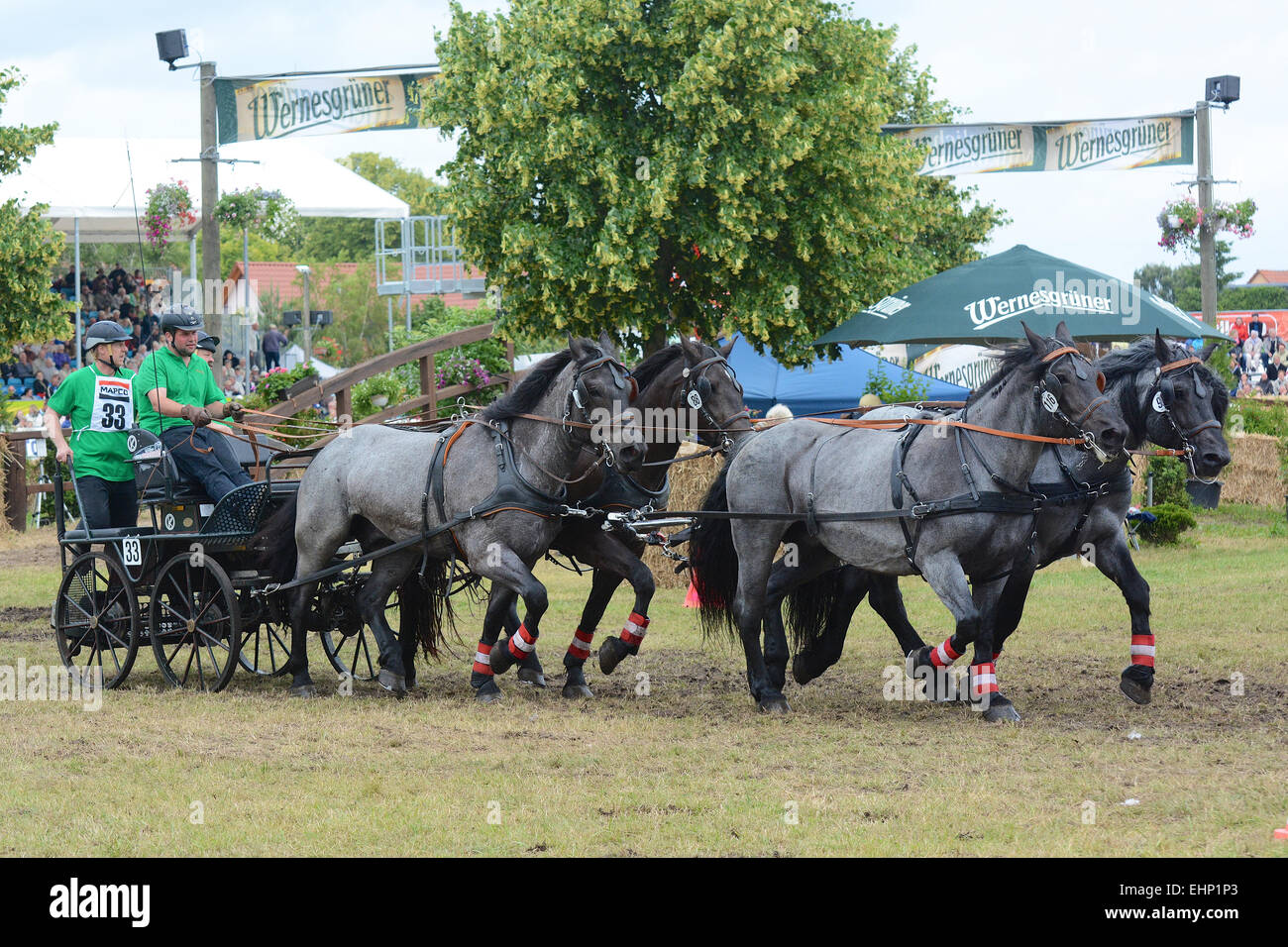 Europeans biggest draft horse show Stock Photo