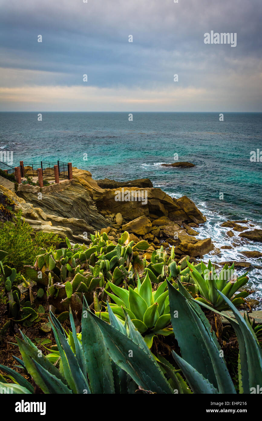 View of the Pacific Ocean from Ruby Street Park, in Laguna Beach