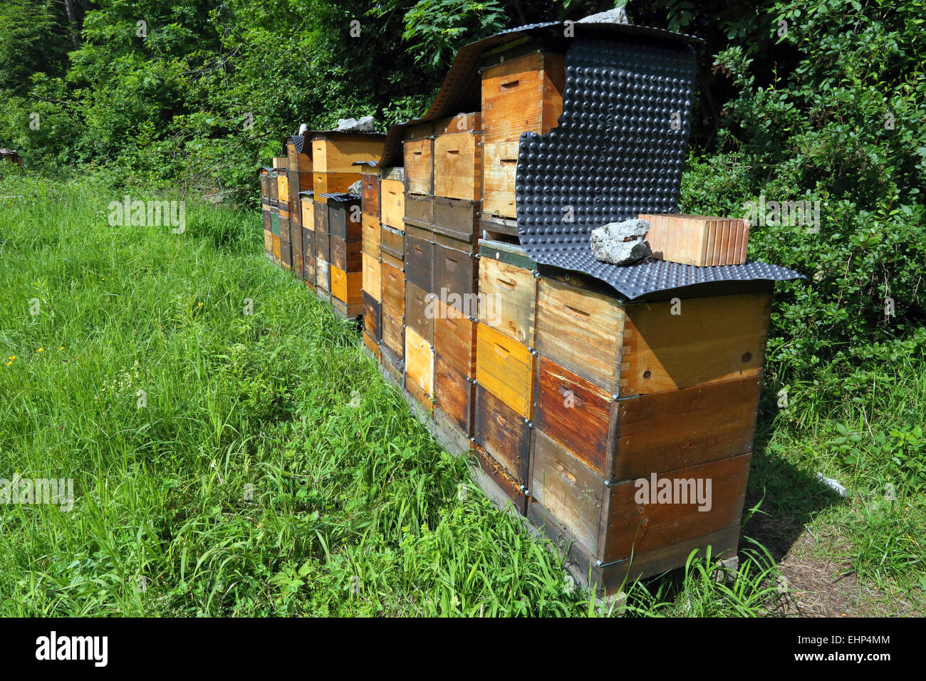 Bee hives hi-res stock photography and images - Alamy