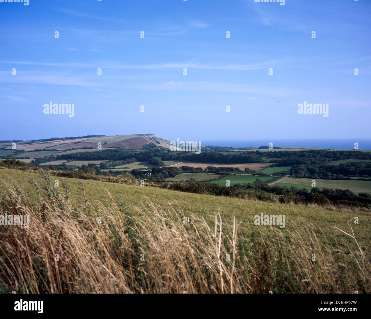 Swyre Head from West Creech Hill near  Swanage Isle of Purbeck Dorset England Stock Photo