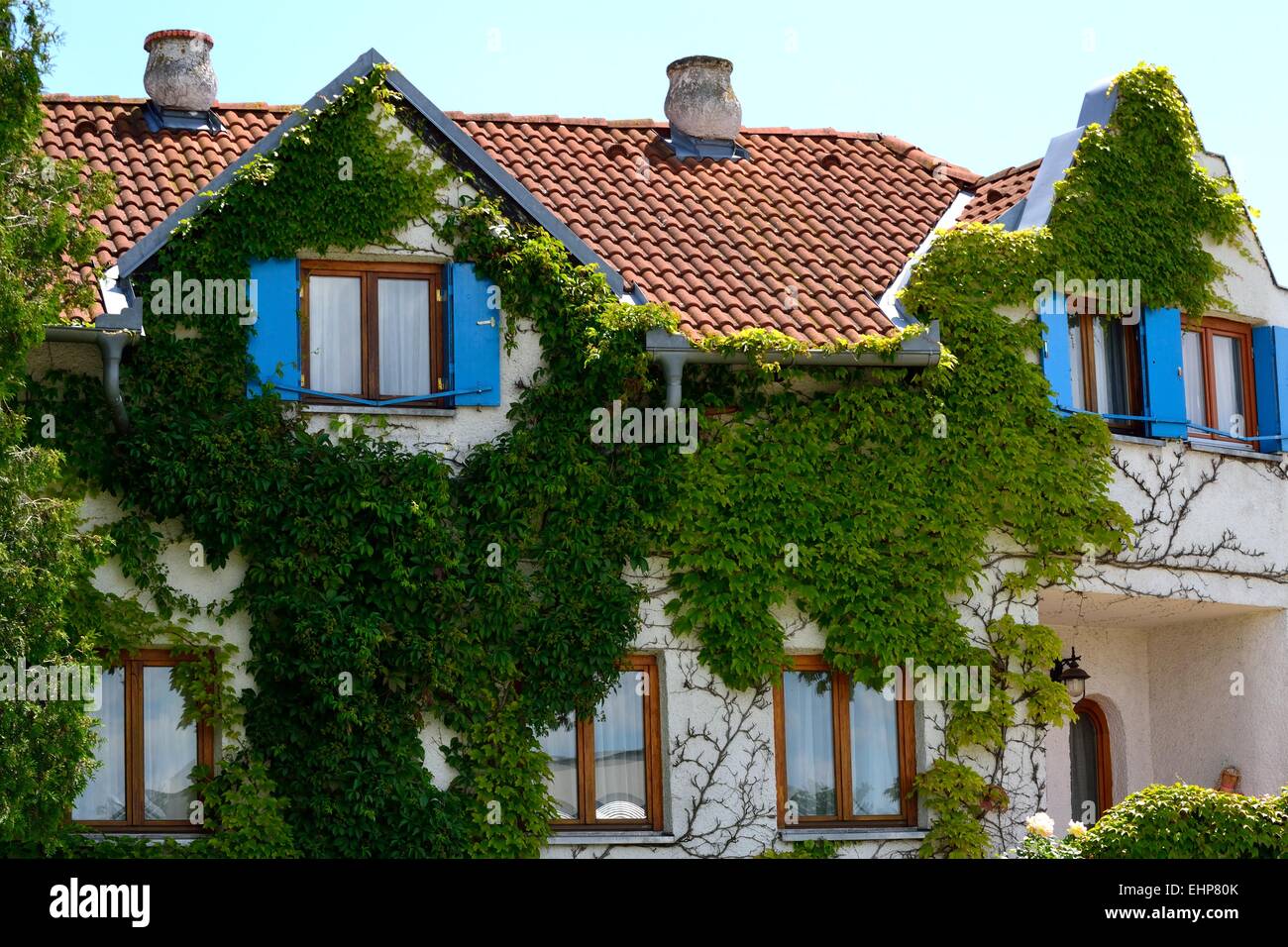 House overgrown with vines Stock Photo