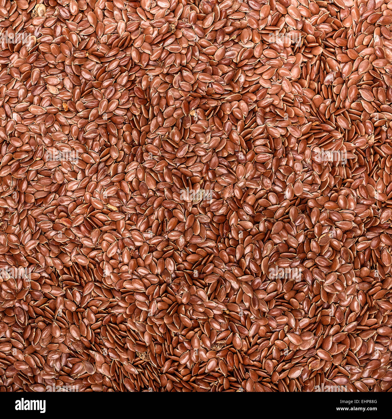 Flax cultivation hires stock photography and images Alamy