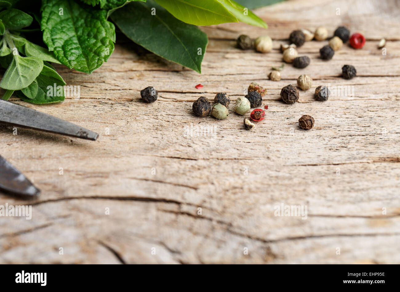 Kitchen Herbs and Spices Stock Photo Alamy