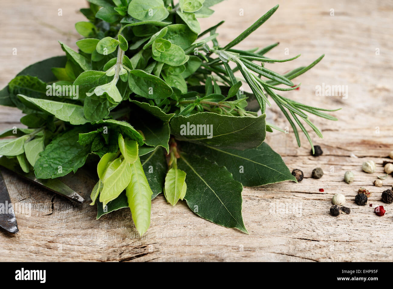 Kitchen Herbs and Spices Stock Photo Alamy