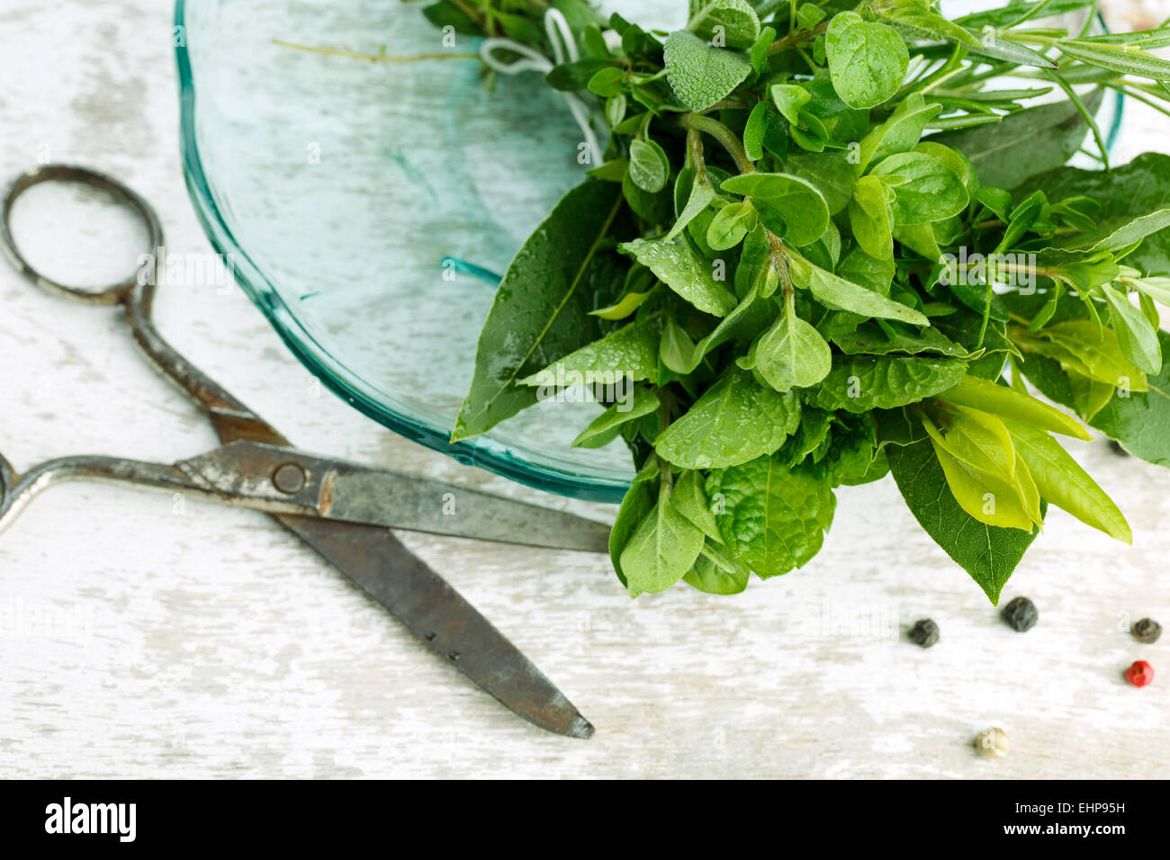 Kitchen Herbs and Spices Stock Photo Alamy