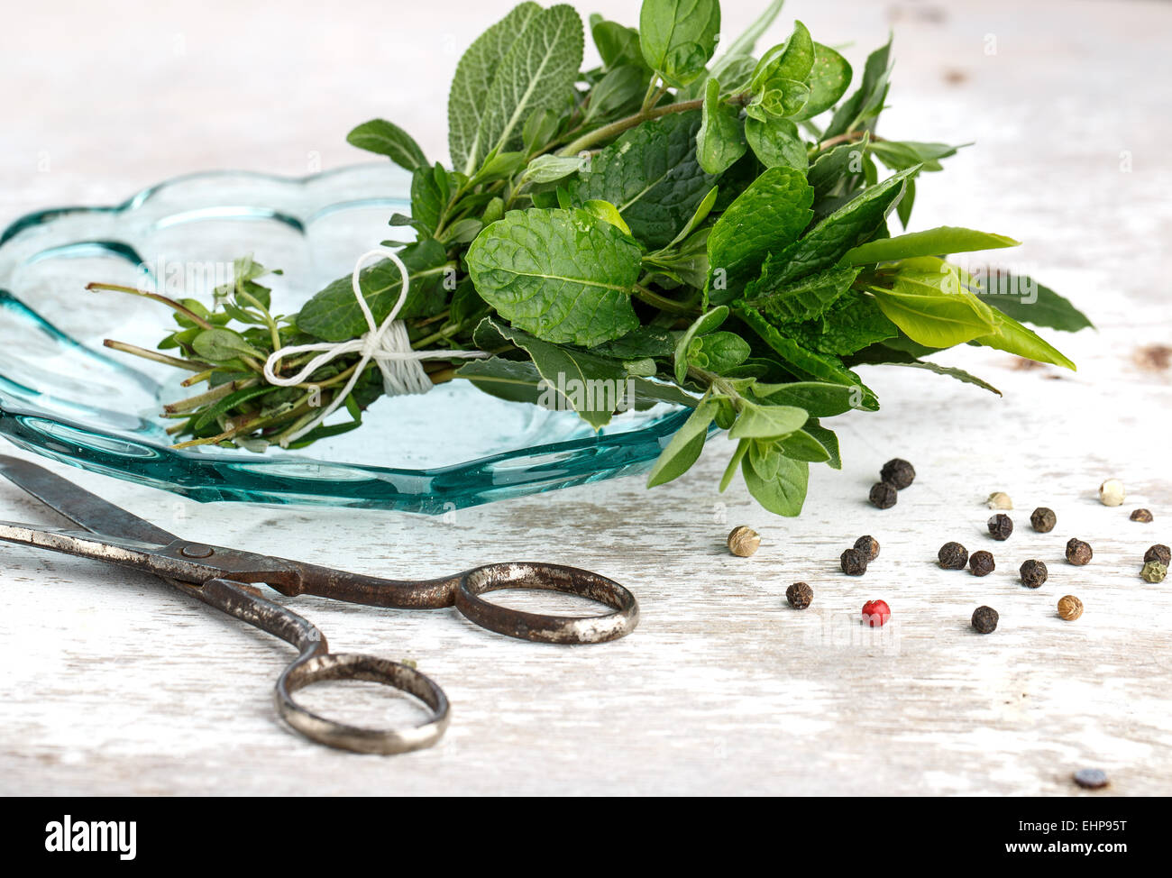 Kitchen Herbs and Spices Stock Photo Alamy