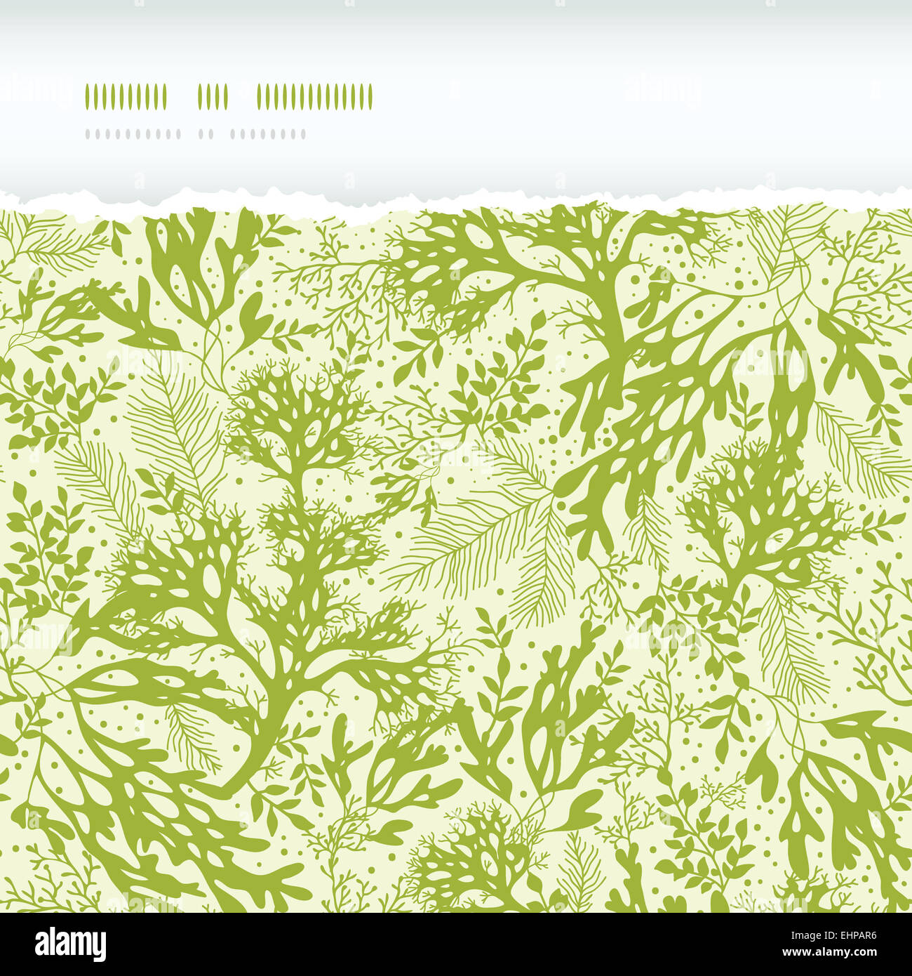 Green underwater seaweed horizontal torn seamless pattern background ...