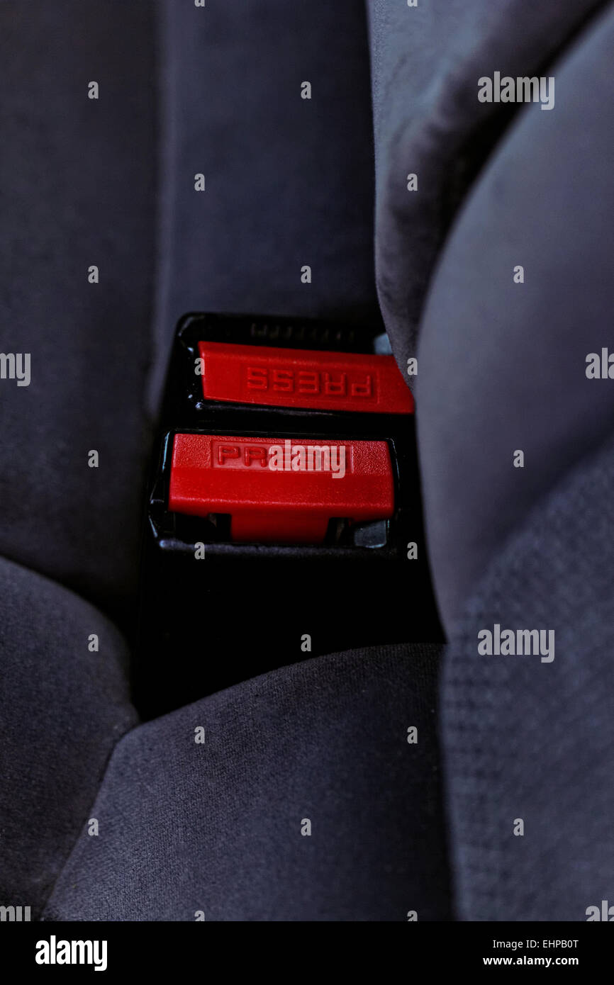 seat belt buckle Stock Photo Alamy