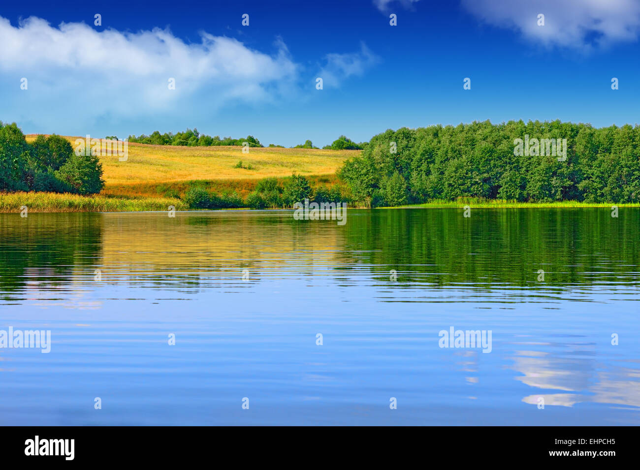Summer landscape field river hi-res stock photography and images - Alamy