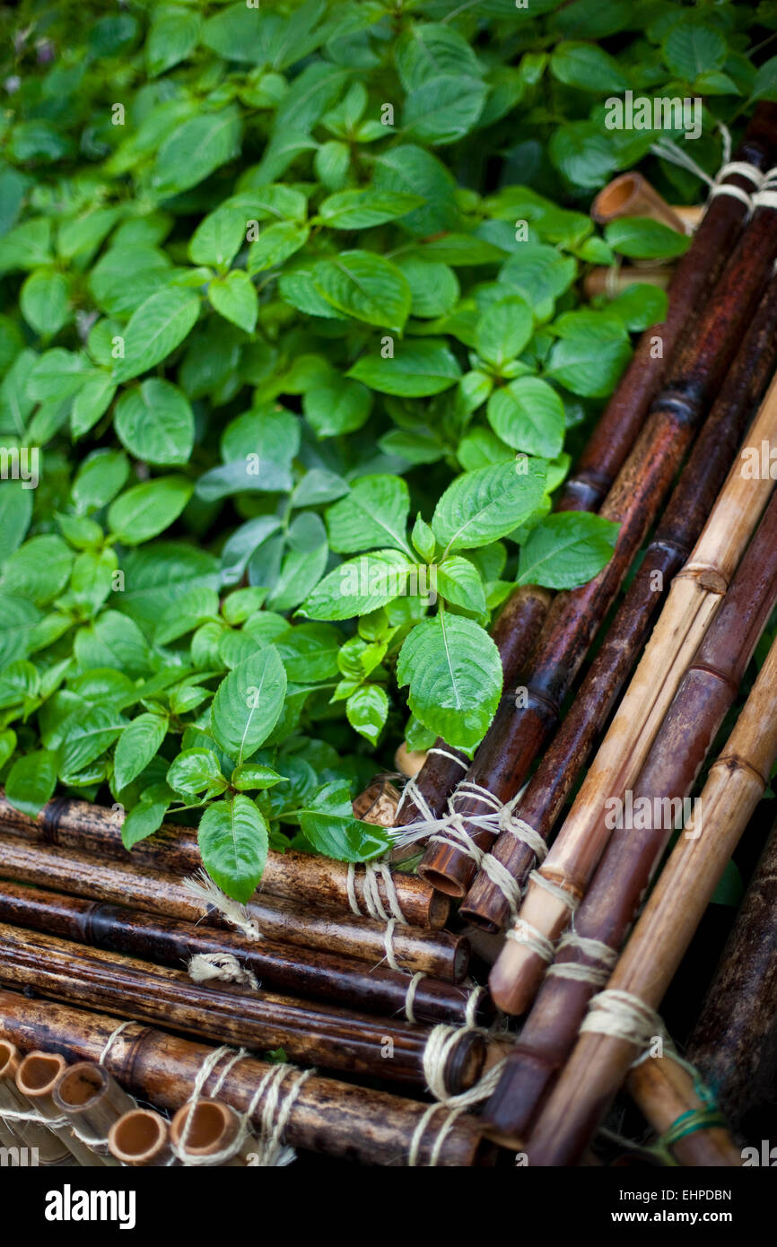 Bamboo container hires stock photography and images Alamy