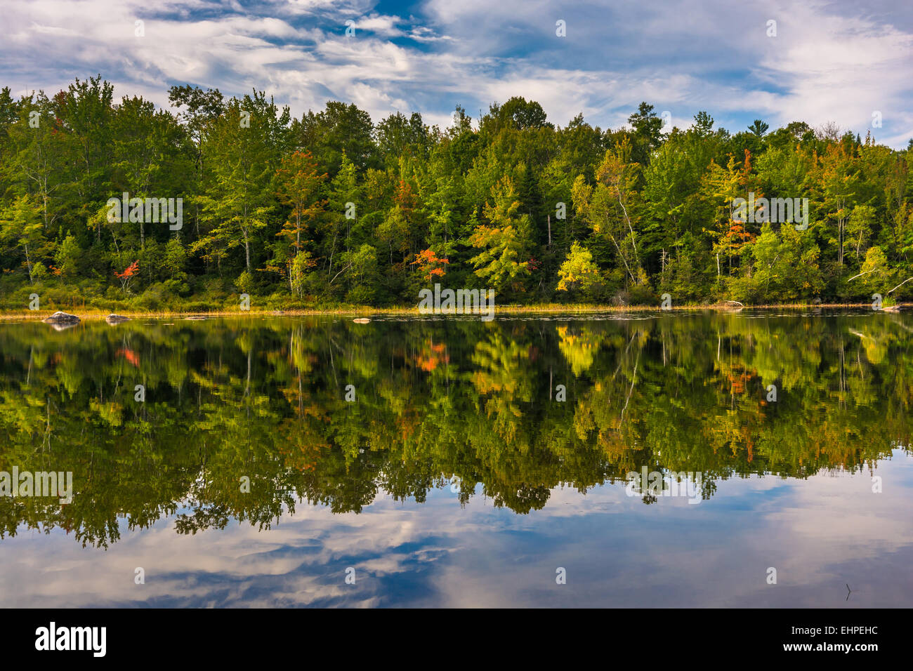 Early autumn reflections at Toddy Pond, near Orland, Maine Stock Photo ...