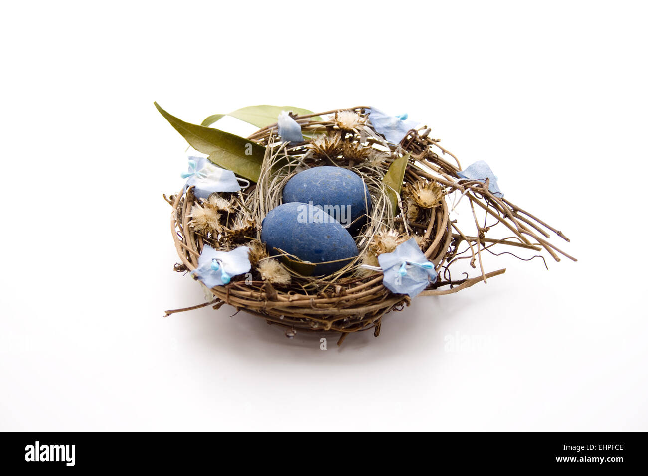 Bird nest with blue eggs Stock Photo Alamy