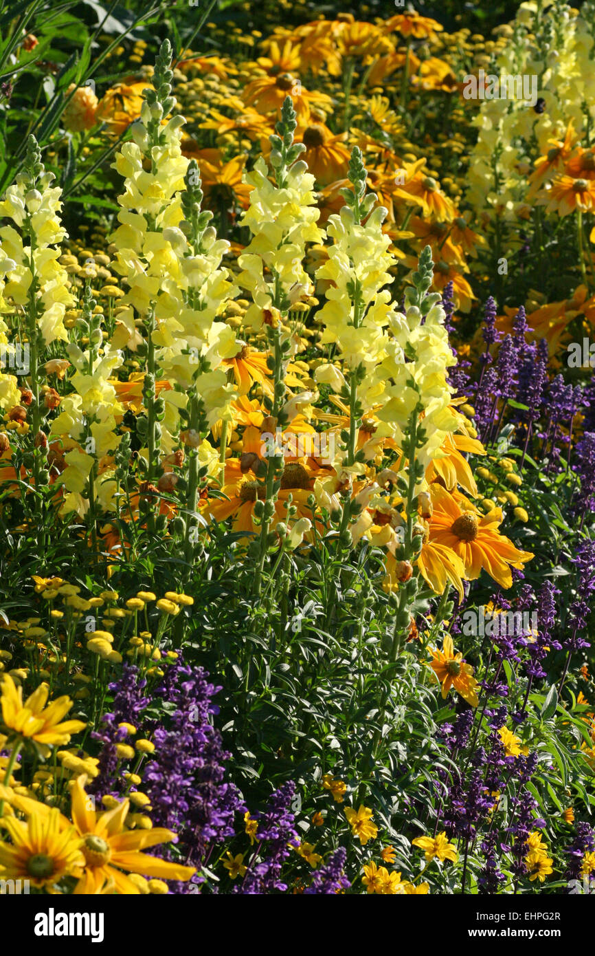 Blumenbeet Flowerbed Hi Res Stock Photography And Images Alamy