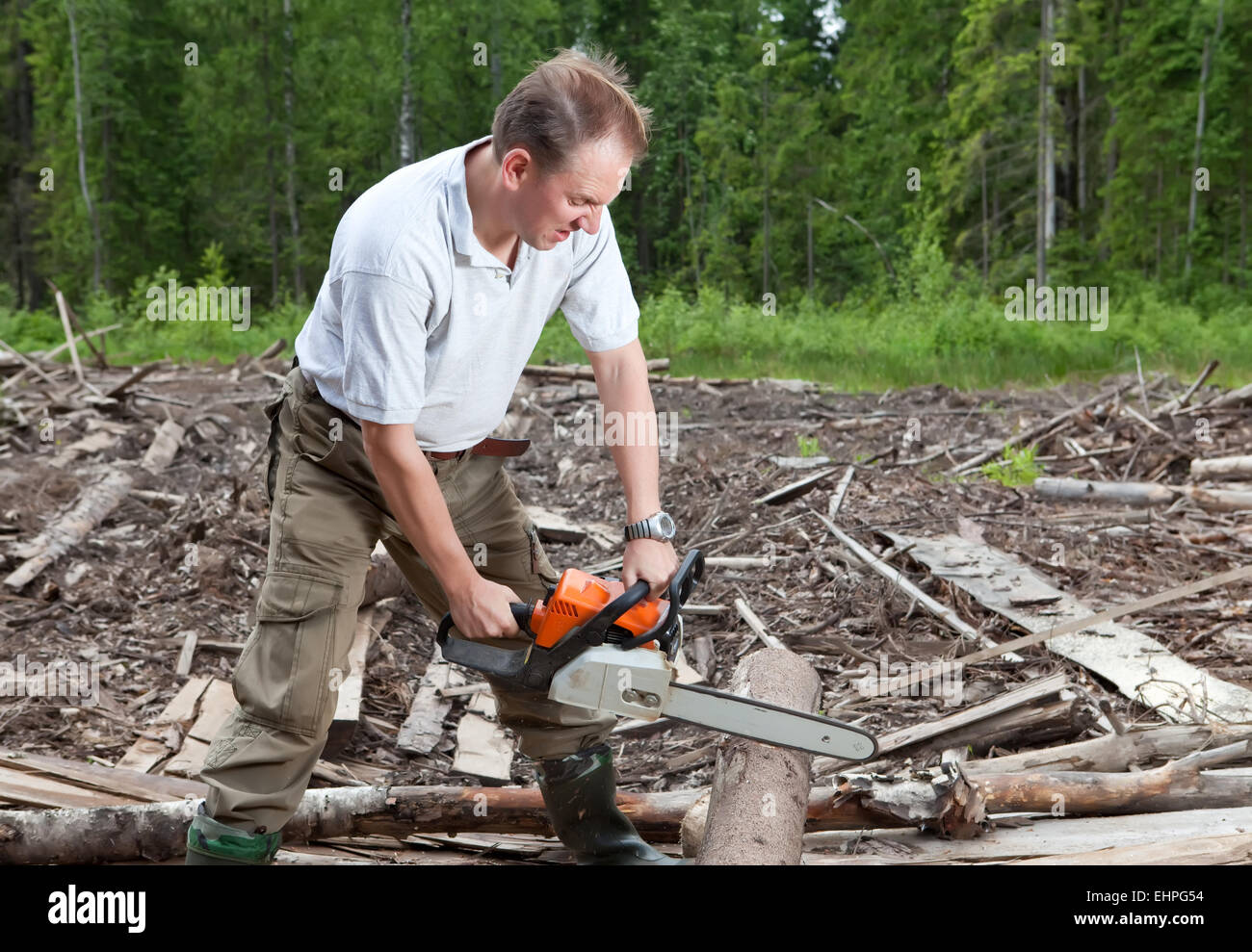 The man in wood saws a tree a chain saw Stock Photo