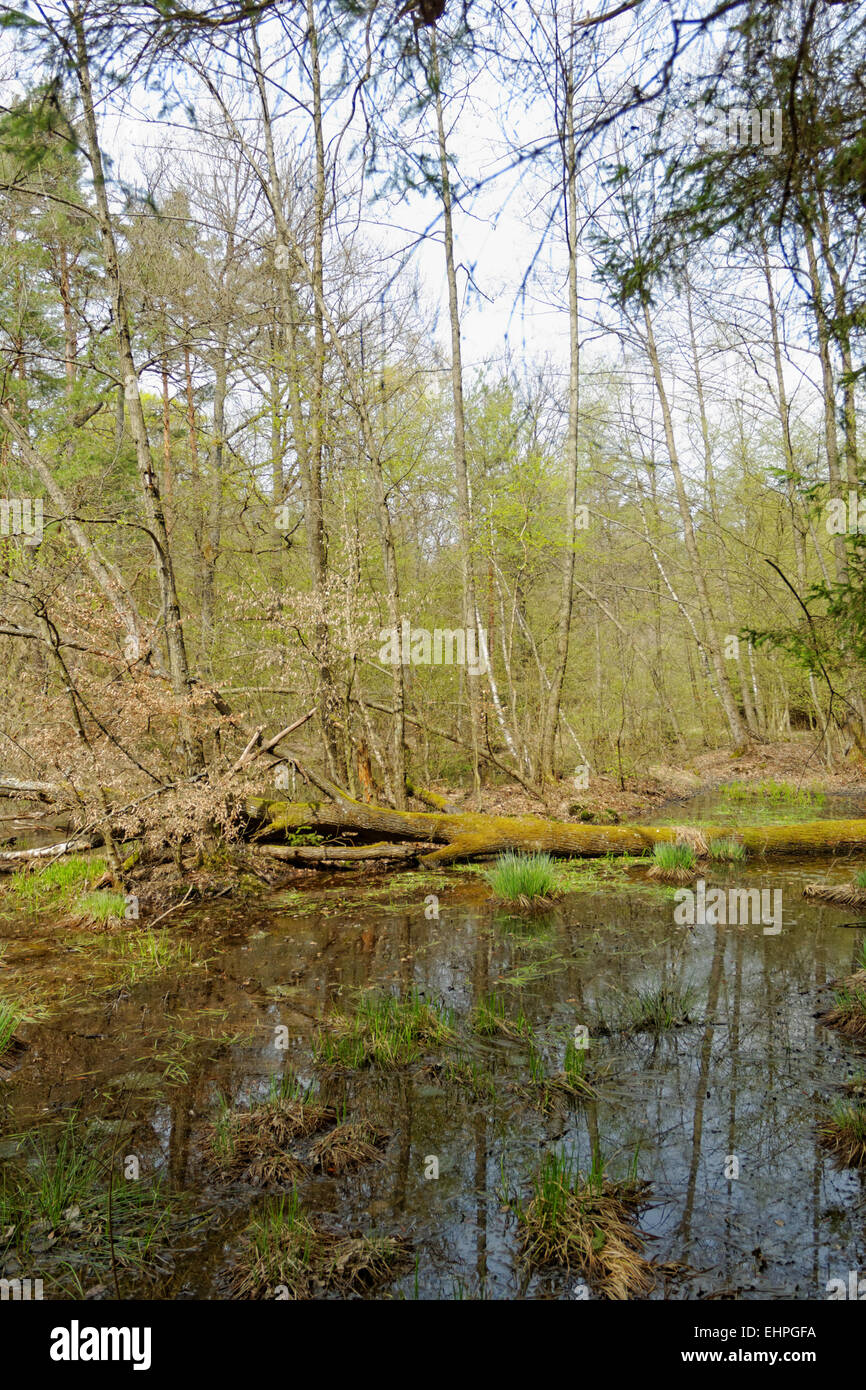 small boobs in big bra