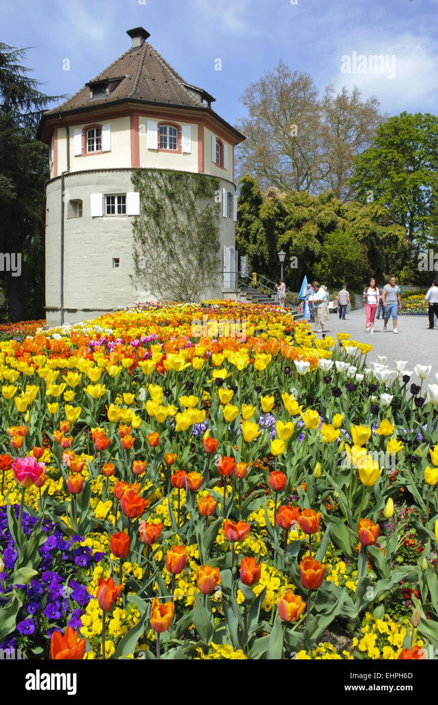 blooming tulips in park Mainau, Bavaria Stock Photo