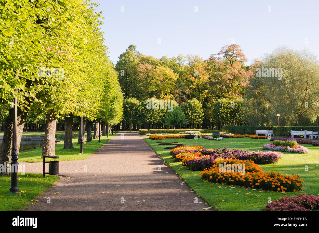 alley in the Park the morning sunshine Stock Photo - Alamy