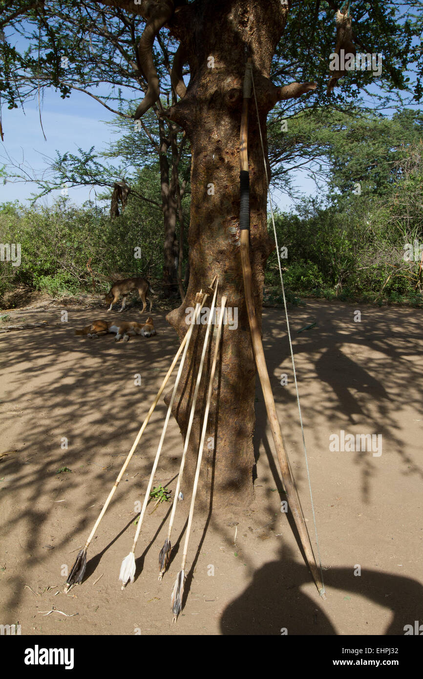 Bow and Arrow, belonging to a Hazabe tribesman, on of the last hunter gatherers in the world. Stock Photo