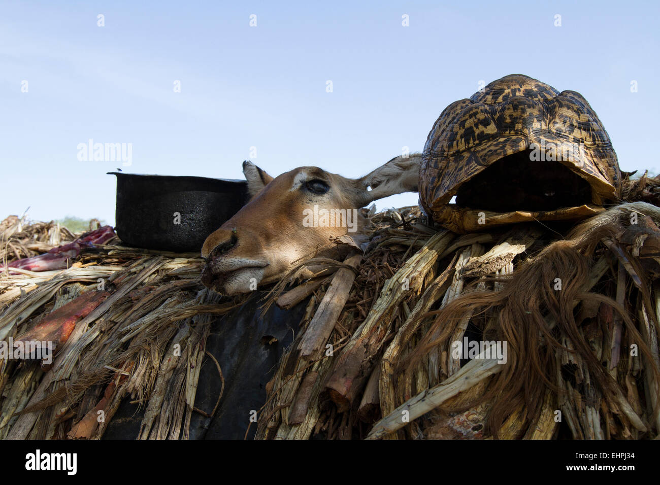 A female Impalas head, tortoise shell and pot on top a Hazabe tribesman's hut. Stock Photo