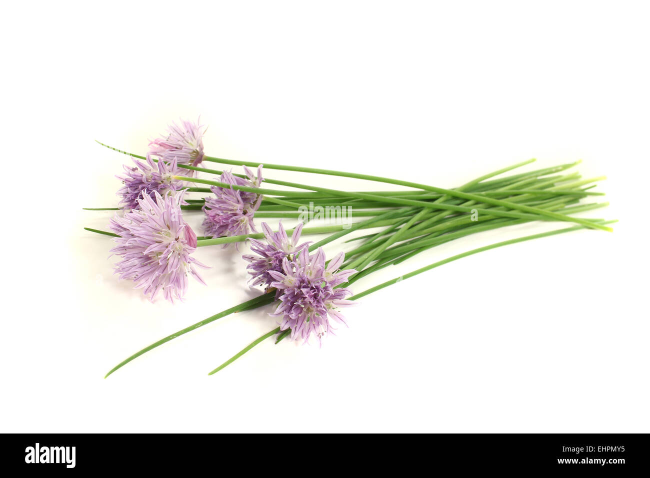chives with leaf and blossom Stock Photo