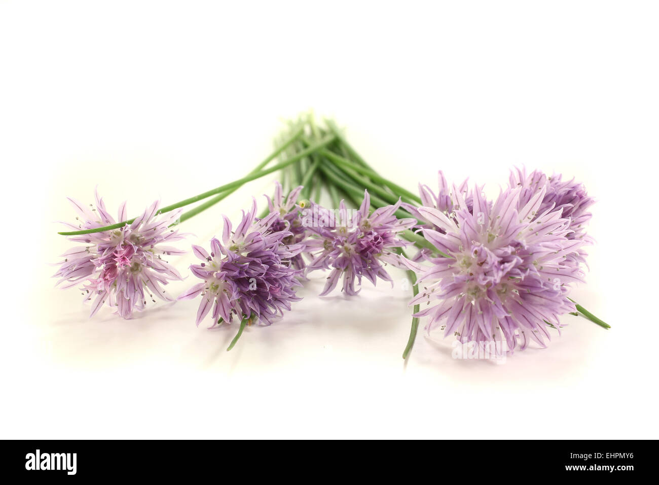 chives Stock Photo