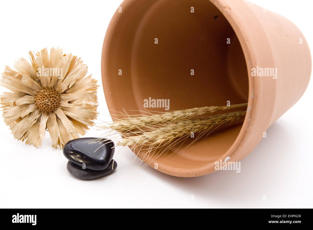 Wheat ear with plant pot Stock Photo