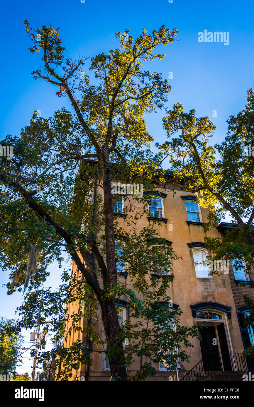 House in Savannah, Stock Photo Alamy