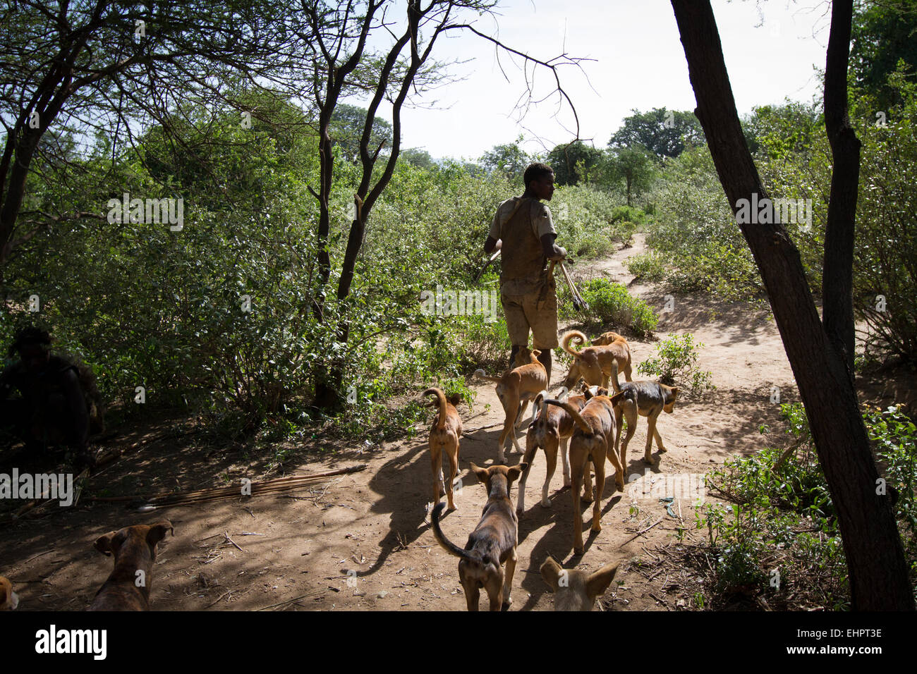 Hadzabe man heading out on hunt with his dogs. Stock Photo