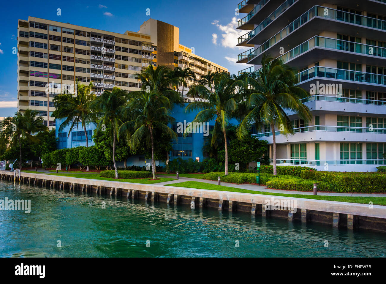 Palm Trees And Buildings On Belle Isle In Miami Beach Florida Stock Photo Alamy