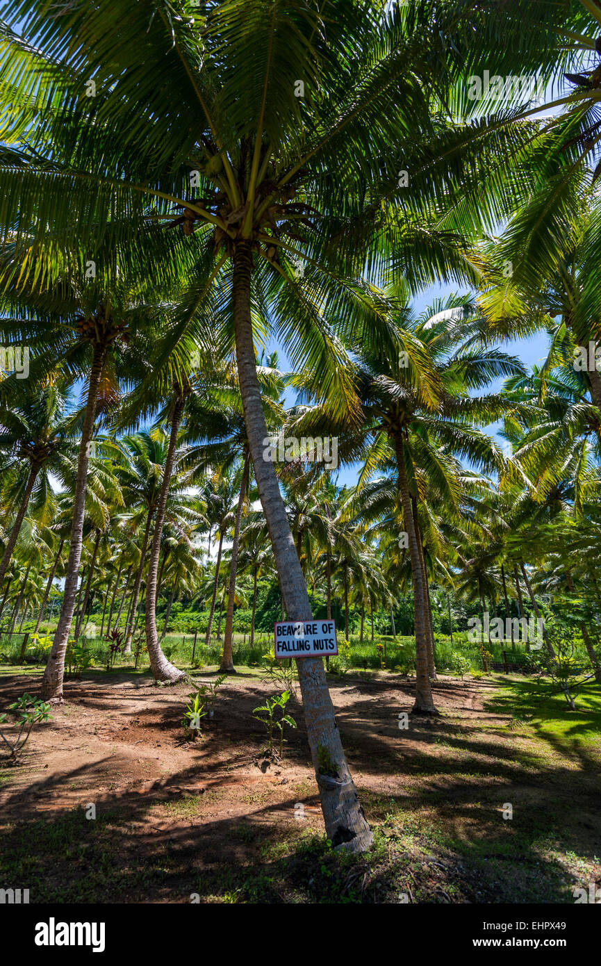 Beware of falling coconuts sign hires stock photography and images Alamy