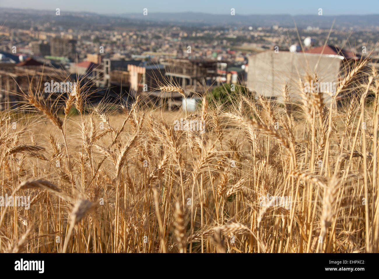 Ethiopia, Addas Ababa, December 6,2013. View of the city in Ethiopia ...