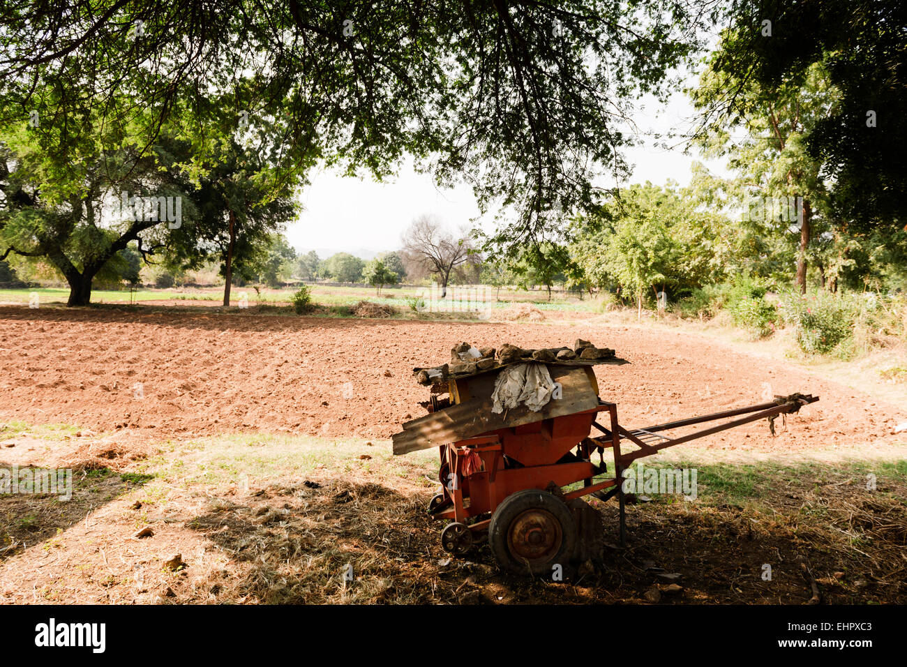 A field in a rural village in the countryside outside Udaipur. Stock Photo