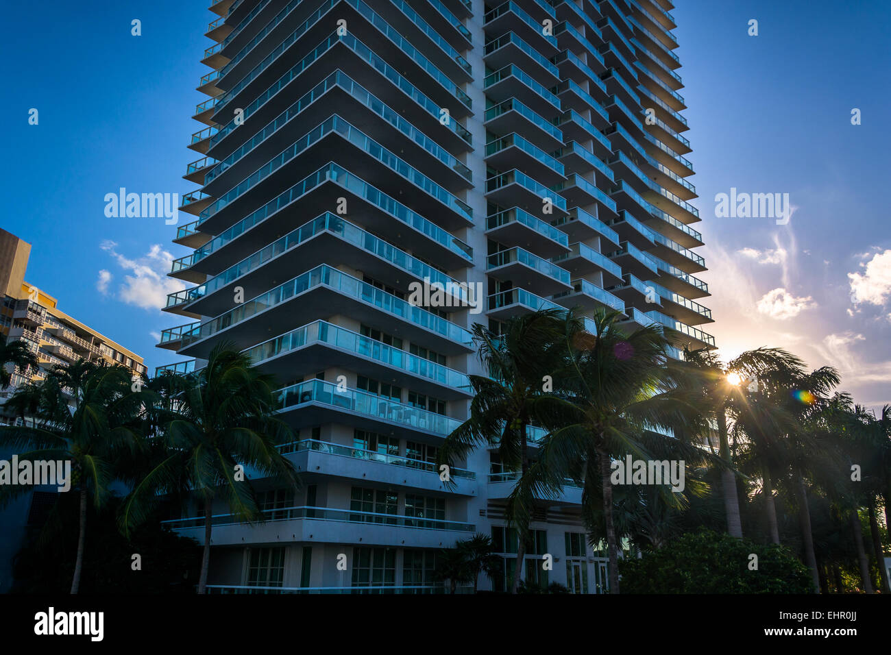 Sunset through palm trees and a skyscraper in Belle Isle, Miami Beach, Florida Stock Photo Alamy