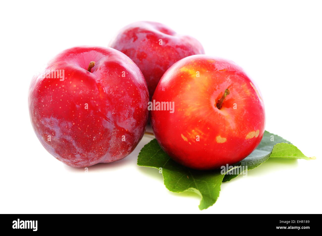Three red plums. Stock Photo
