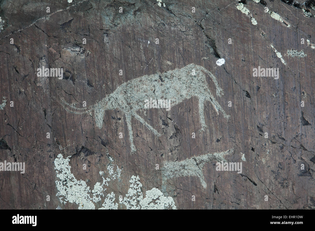 Rock paintings from the Bronze Age Stock Photo - Alamy